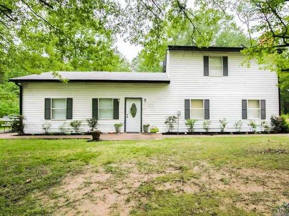 11465 Fm 2879, Diana, TX 75640