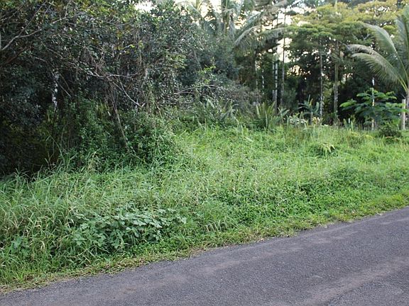 3rd image of 23rd Avenue Naupaka Lot 1100