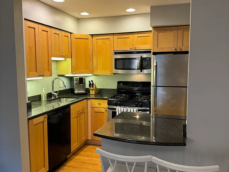 2045 N Larrabee St #7105 — Photo 3