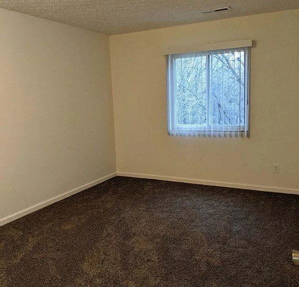 100 Everhard - Short-term rentals available — Photo 3