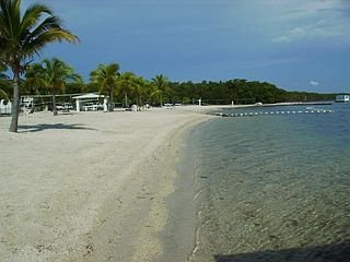 Community Beach and Dock