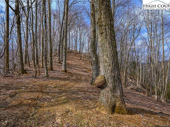 4th image of TBD Raspberry Lane