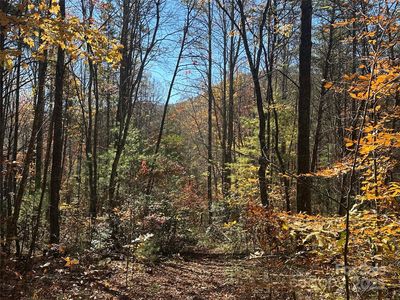 99999 Morgan Hill Rd #3, Fairview, NC, 28730