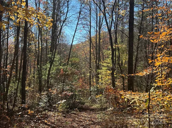 99999 Morgan Hill Rd #3, Fairview, NC 28730