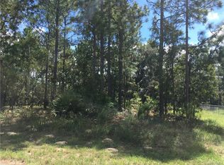 1354 W Cary Dr, Citrus Springs, FL 34434