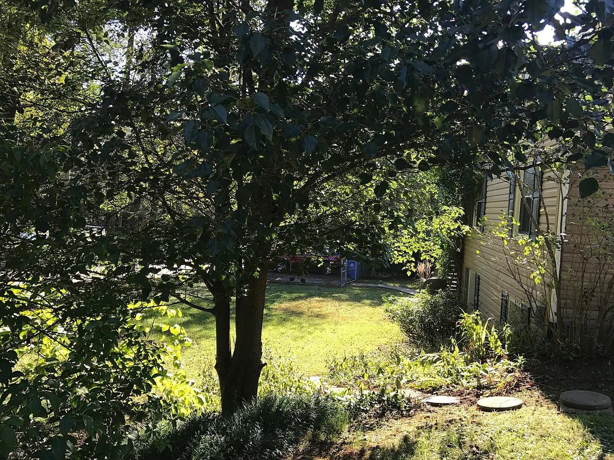 Building Photo - 29 Rumbough Pl