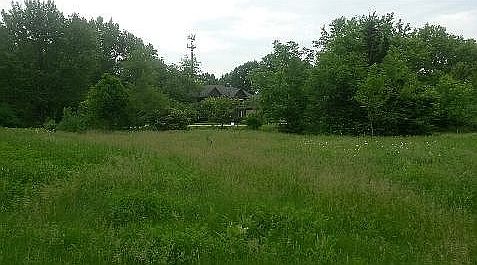 from rear of lot 4719 