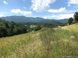 50 S Lindon Cove Rd #14, Candler, NC 28715