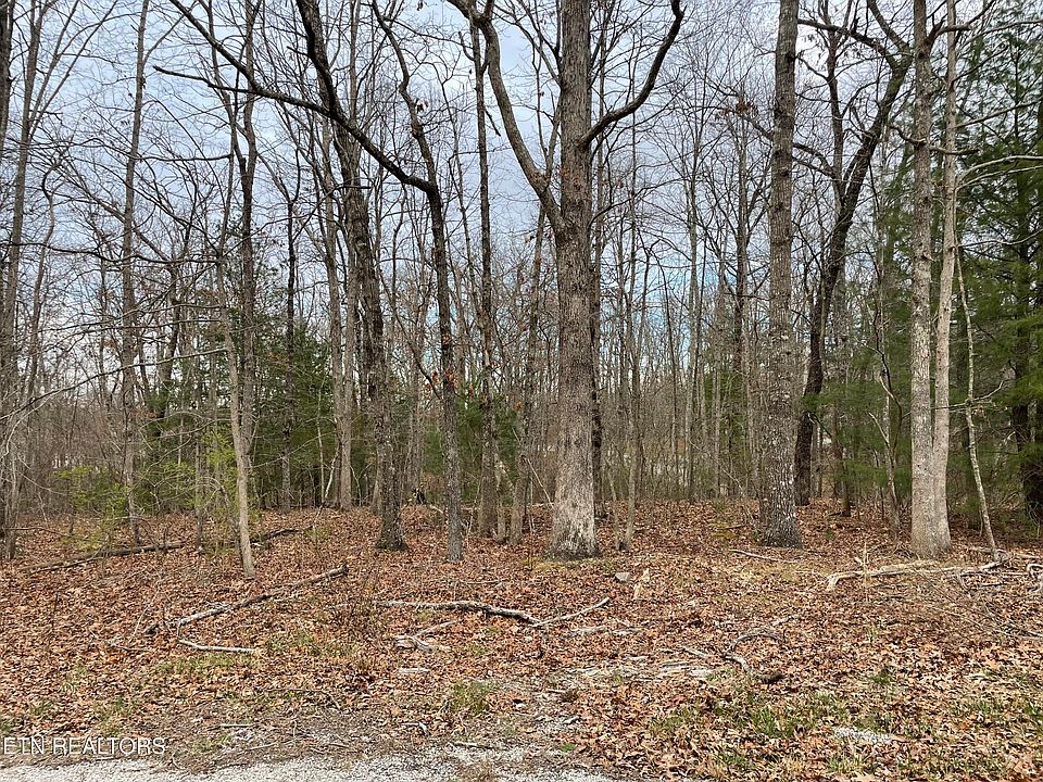 2nd image of 1055 Oceola Cir