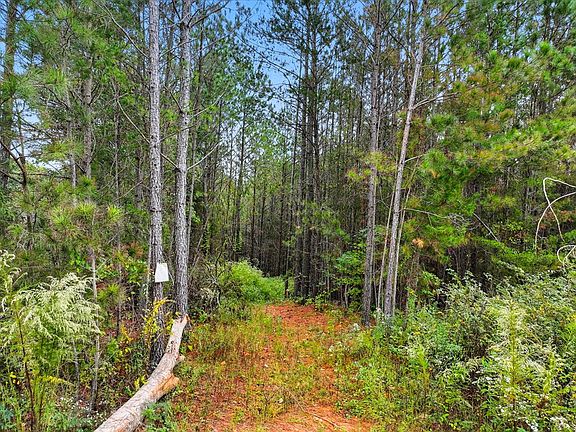 3rd image of 00 Old Pleasant Valley Rd