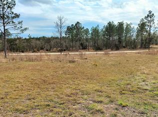 Tbd Ne 4th St, Williston, FL 32696