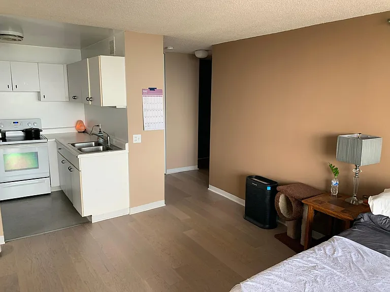 3660 N Lake Shore Dr #3309 — Photo 17