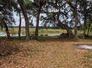 25015 NE 135th St, Salt Springs, FL 32134