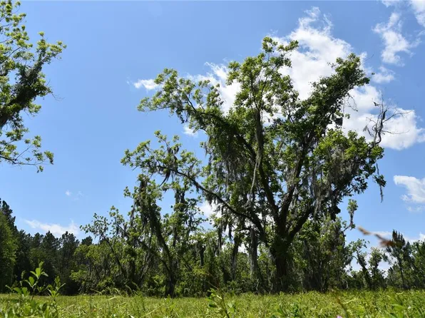 15647 NE County Road 1475, Waldo, FL 32609
