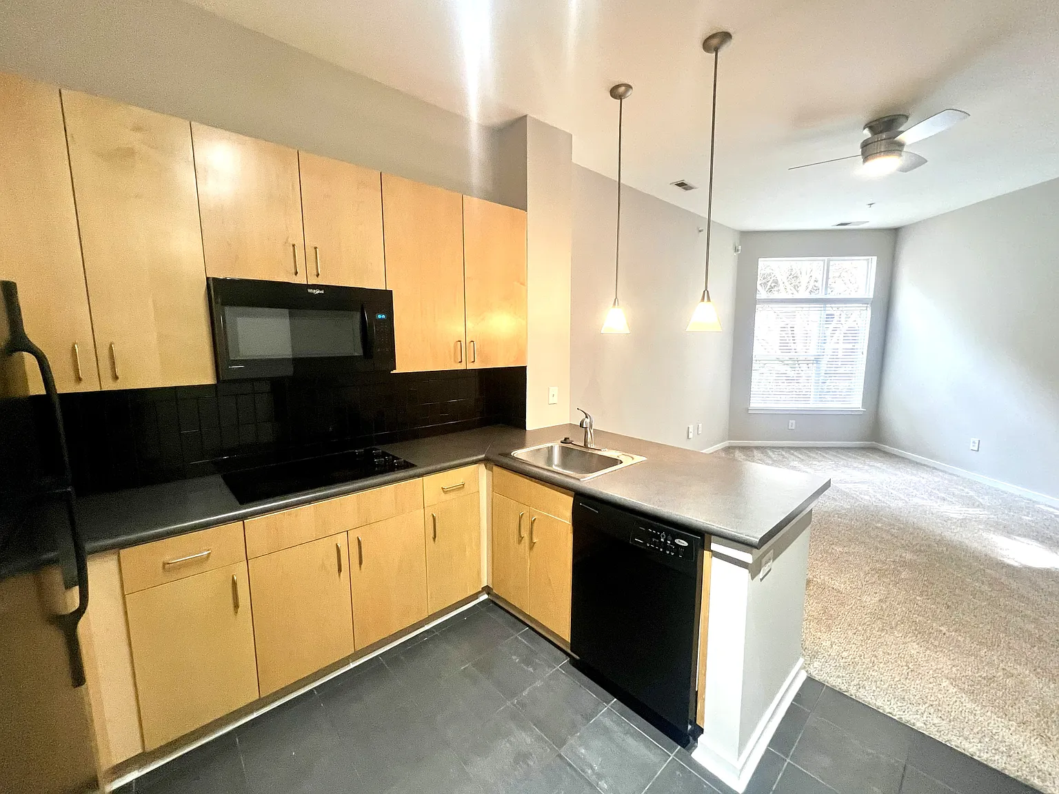 1 bed, 546 sqft, $1,495 — Photo 3