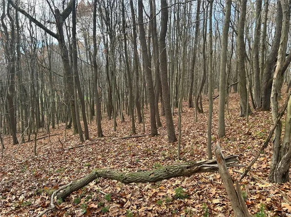 LOT Bullion, Polk, PA 16342