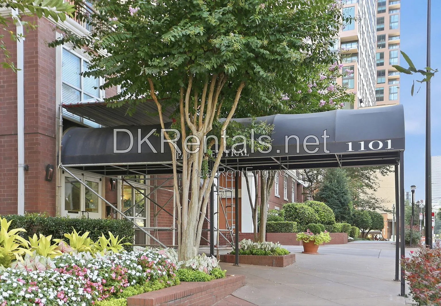 2 bed, 1.0 bath, 1054 sqft, $2,200 — Photo 3
