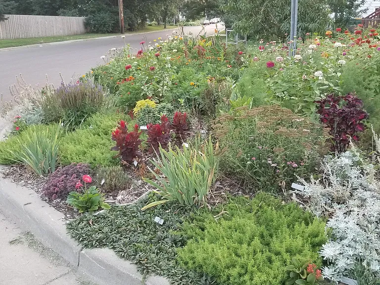 Front corner gardens