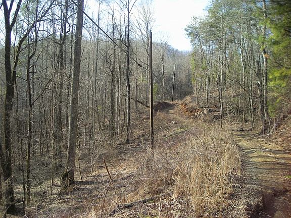 Bull Gap Road. Property to left.