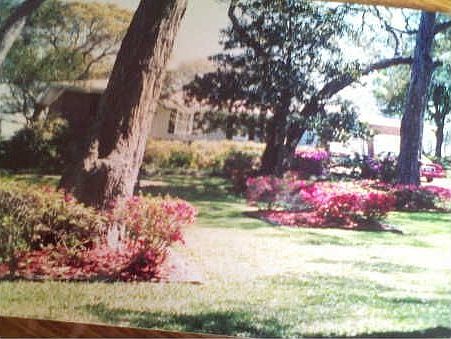 5th image of 120 N Wolff St
