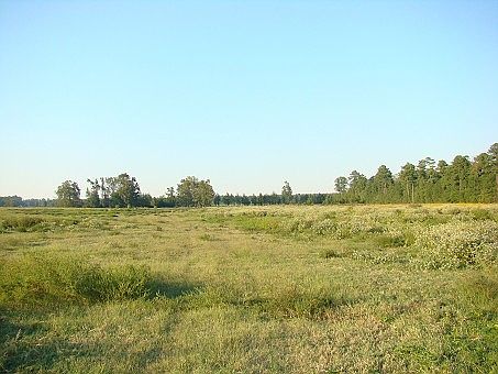 1st image of 1367 W Us Highway 278 Hwy