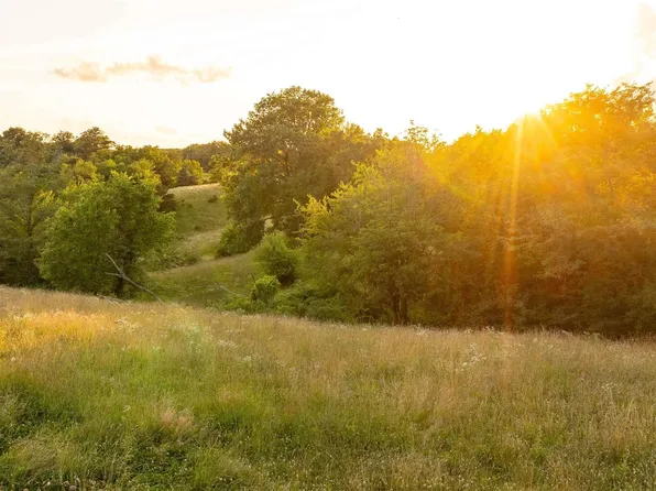 0 Highway T61, Unionville, IA 52594