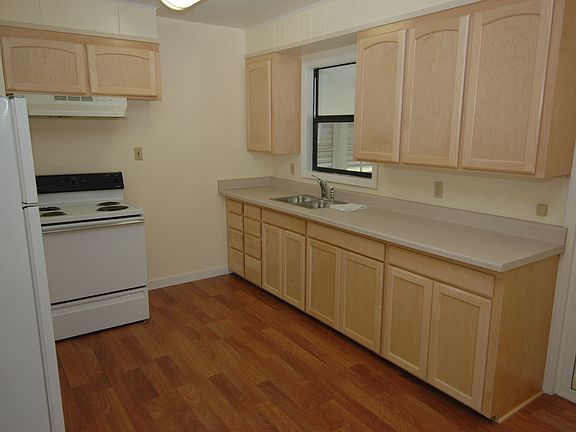 Maple Cabs. in Kitchen