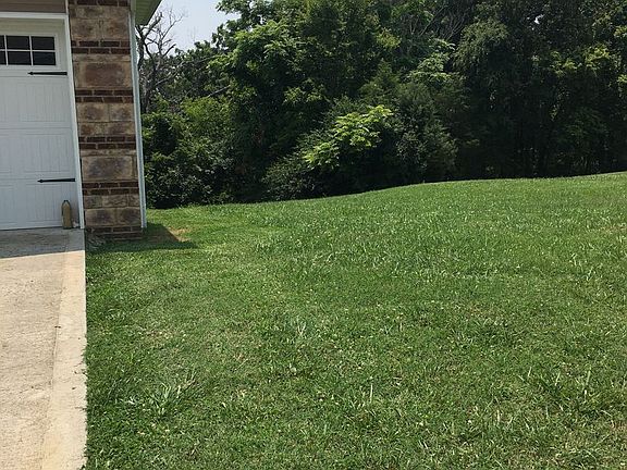 4th image of 651 Privet Dr