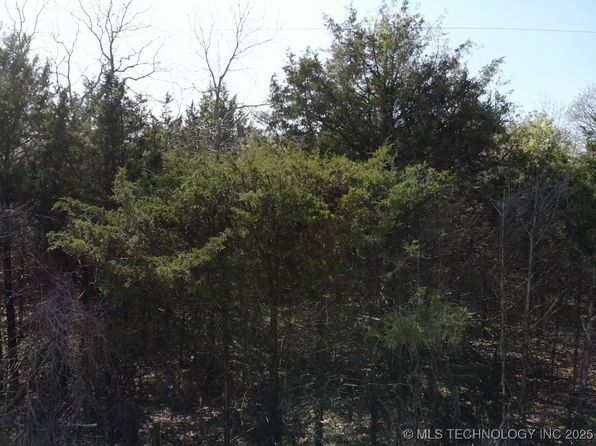 Canada Ln, Tishomingo, OK 73460