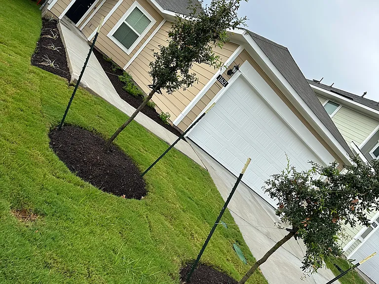 11621 Murano Dr — Photo 19
