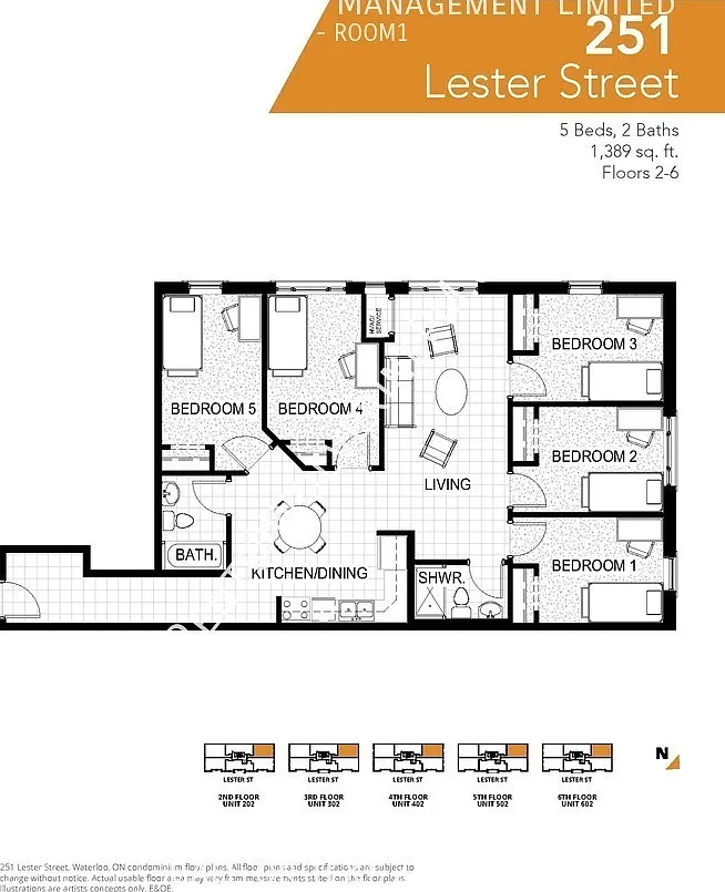 5 unit Student condo minutes from WLU + UW — Photo 2