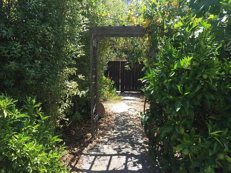 870 Creek Dr — Photo 10