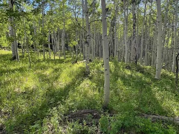 TBD Eagles Rest, Cimarron, CO 81220