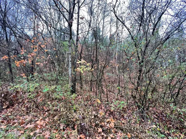 LOT 12 Rayl Hollow Rd, Decatur, TN 37322