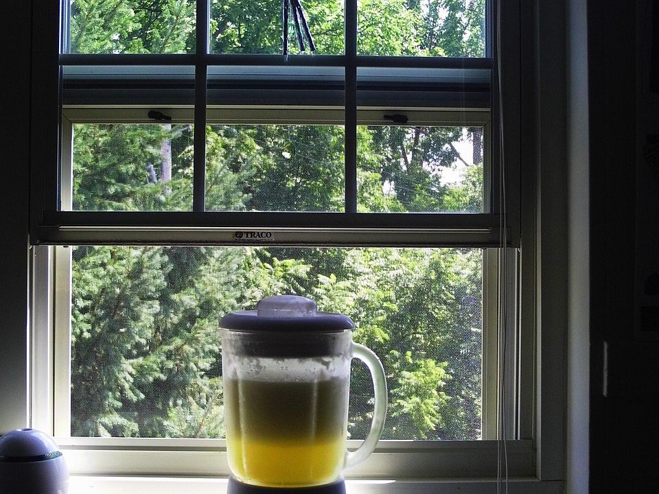 kitchen window