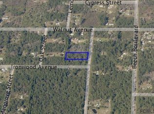 2128 Orange St, Bunnell, FL 32110