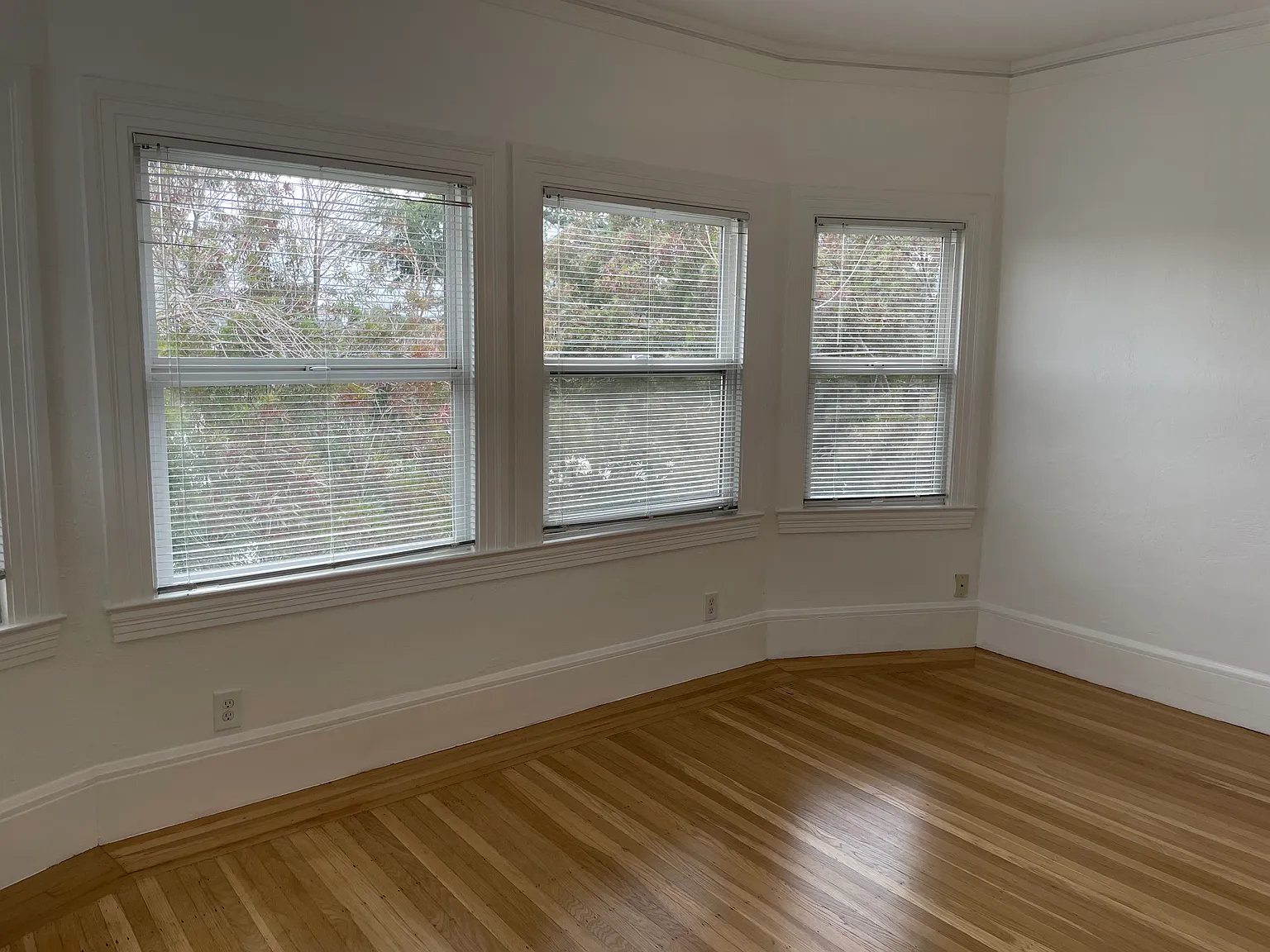 1 bed, 600 sqft, $2,450 — Photo 2