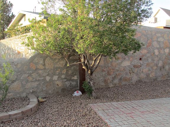 Backyard landscaping
