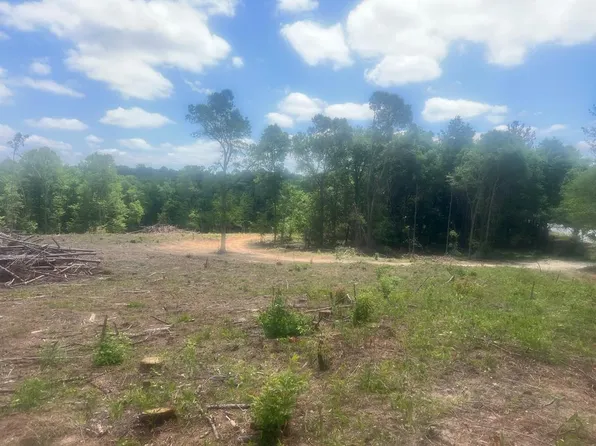 (undisclosed Address), Attapulgus, GA 39815