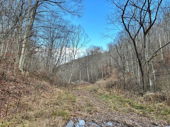 0 Archers Fork Rd, Jacksonburg, WV 26377