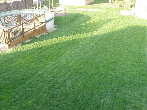 Large Lot