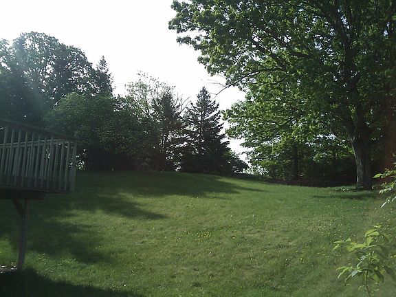 Backyard from left of home