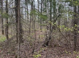 0 Cricket Ln, Winter, WI 54896