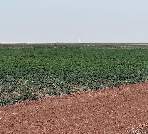 2nd image of 8001 Fm 41