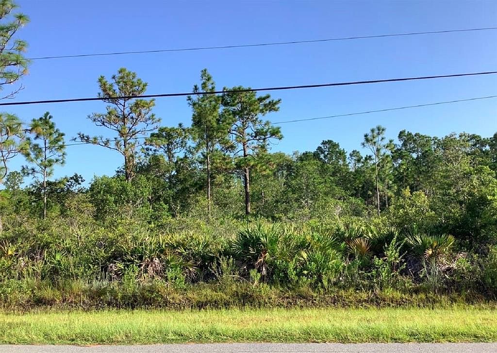 Paddock St 362, Orlando, FL 32833 MLS O5949198 Zillow