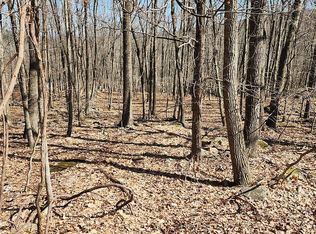 Eagle Pass LOT 711, Cresco, PA 18326