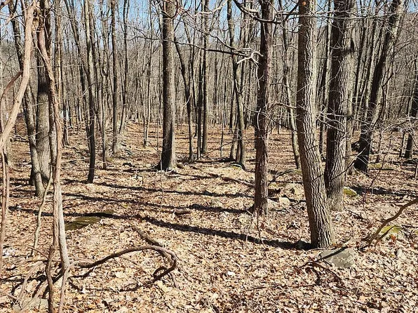 Eagle Pass Lot 711, Cresco, PA 18326