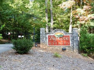 62 Vintage Rd, Candler, NC 28715