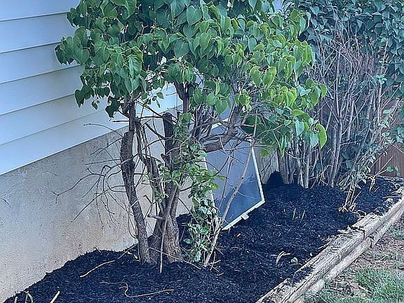 5th image of 1261 Fairlane Dr