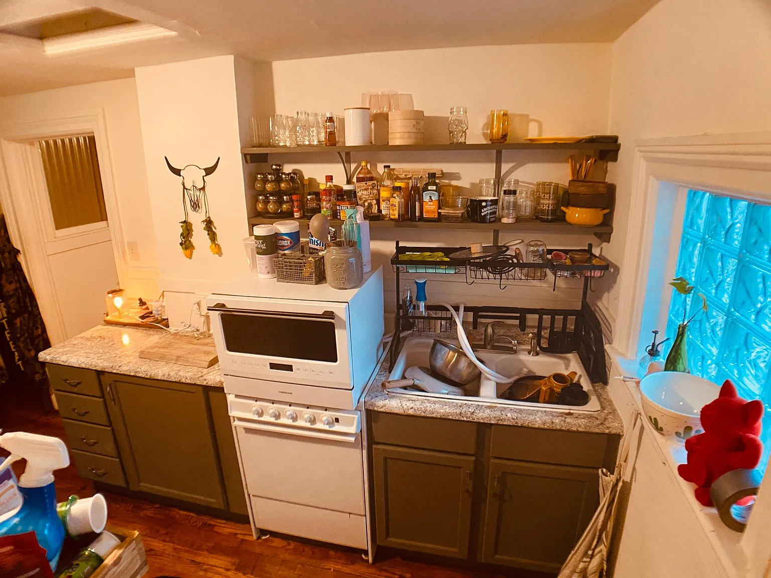 1 bed, 495 sqft, $955 — Photo 3